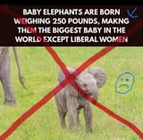 as-an-aside-couldnt-they-have-worded-it-naturally-v0-jzhx591vv6cf1