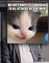 meowstein