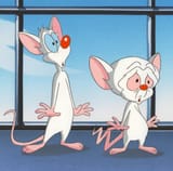 pinky and the brain