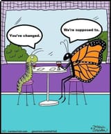 youve-changed-butterfly-2102253393