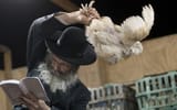 rabbi with chicken
