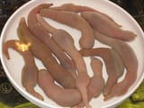 garlpoids