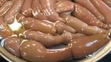 garloids2