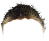 1732565121669816