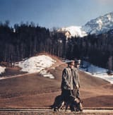img-3