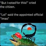 LMAOsaid3166-2IL