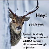 Forget Epstein