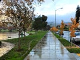 rainy-sidewalk-6049
