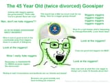 The 45 Year Old Goosiper