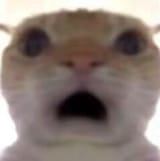 463092936_122137551920324073_789988849857254272_n