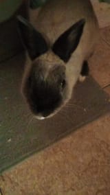 IMG-20250708-WA0005