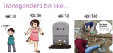 transgender lifetime