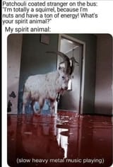 spirit animal