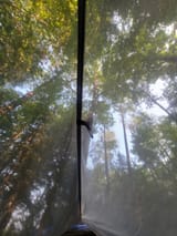 bestwaytowakeup