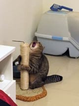 IMG-20181013-WA0000