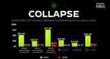 rip marijuana