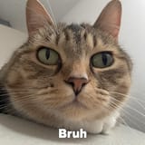 b989879877968767850987097896778566567