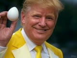 Trump Egg Price