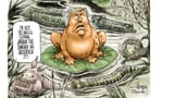 swamp great again