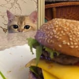 hunger