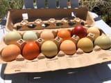 easter