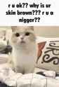 1725769563883850_thumb.jpg