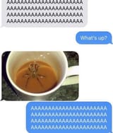 1704062595635506
