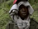 must_also_rape