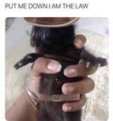 1752007762142366