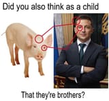 1746221559404746