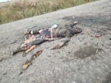 flatenned