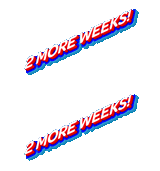 2 more weeks x2