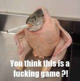 -4chan-STFU-NO_U