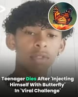 1751291506046913m