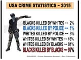 USA crime statistics 2015 Black v whites