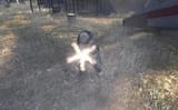 static-assets