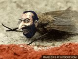 jew-fly-2