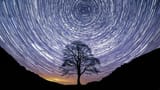 northumbria_tree_in_hadrians_wall_dip_timelapse