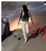 stupid fucking idiot