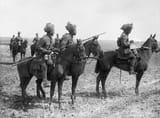 Hodsons_Horse_France_1917_IWM_Q_2061