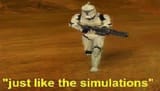 simulations