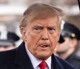 pedonald