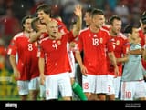 players-of-the-hungarian-national-football-team
