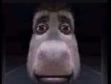 1734264739661456