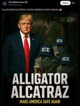 Alligator Alcatraz 2