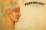 phrenology-artwork
