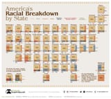 racial breakdown by state