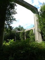 images(14)
