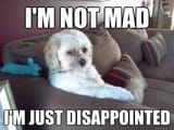 imnotmad