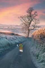 CountryStrollFrostyApu